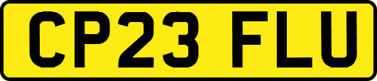 CP23FLU