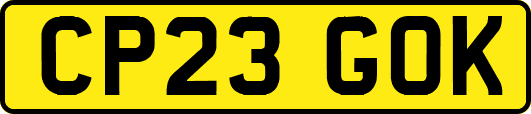 CP23GOK