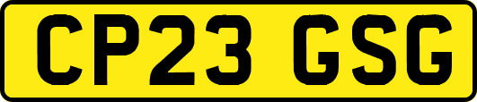 CP23GSG