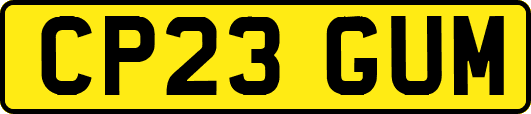 CP23GUM