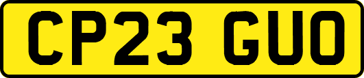 CP23GUO