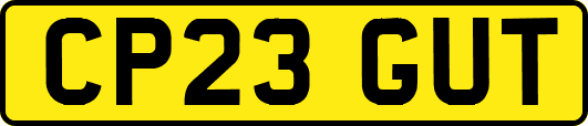 CP23GUT