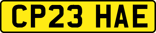 CP23HAE