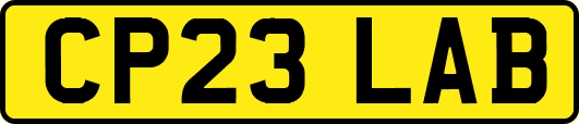 CP23LAB