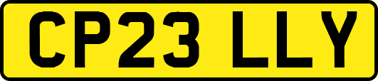CP23LLY