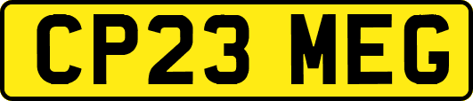 CP23MEG