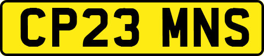 CP23MNS
