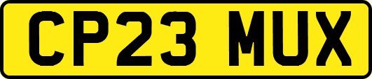 CP23MUX