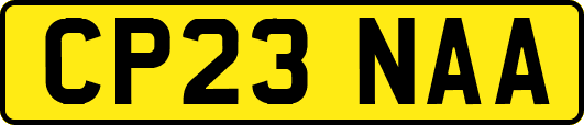 CP23NAA