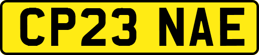 CP23NAE