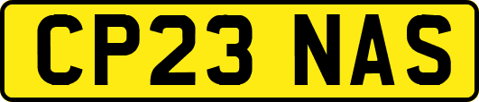CP23NAS
