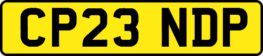 CP23NDP