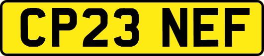 CP23NEF