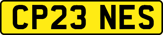 CP23NES