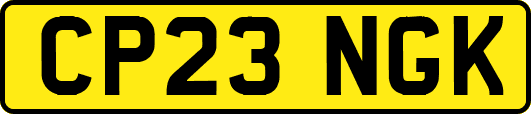 CP23NGK