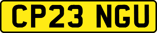 CP23NGU