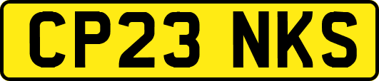 CP23NKS