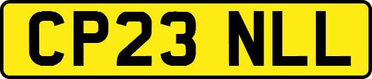 CP23NLL