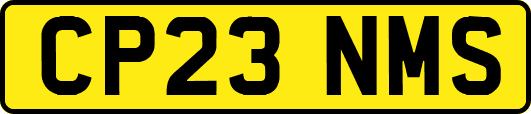 CP23NMS