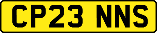 CP23NNS