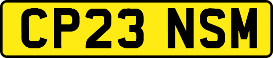 CP23NSM
