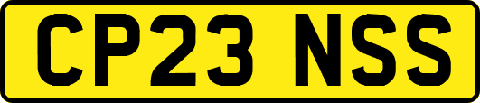 CP23NSS