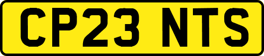 CP23NTS
