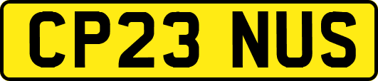 CP23NUS