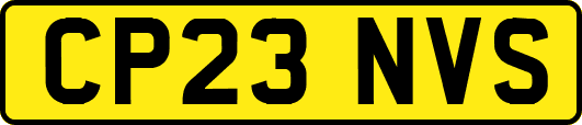 CP23NVS