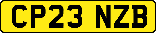 CP23NZB