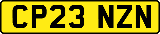 CP23NZN