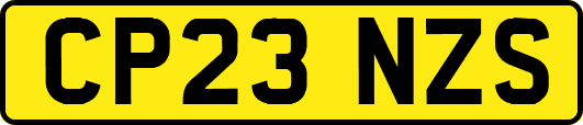 CP23NZS