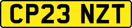CP23NZT