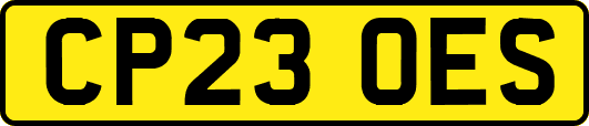 CP23OES