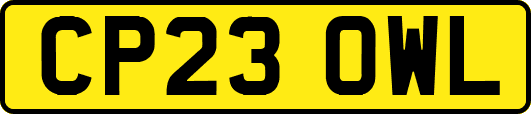 CP23OWL