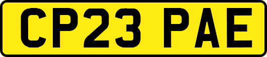 CP23PAE
