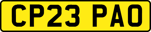 CP23PAO