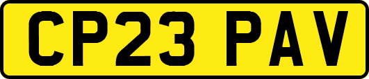 CP23PAV