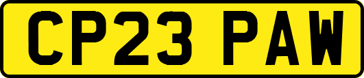 CP23PAW