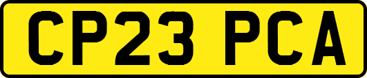 CP23PCA