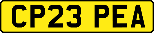 CP23PEA