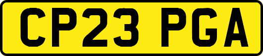 CP23PGA