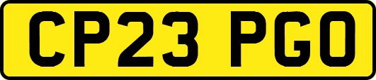 CP23PGO