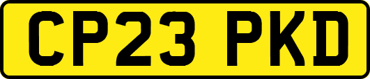 CP23PKD
