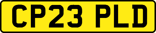 CP23PLD