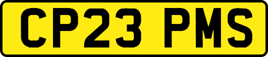 CP23PMS