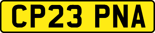 CP23PNA