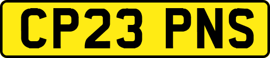 CP23PNS