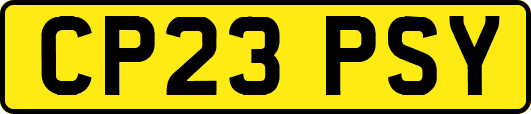 CP23PSY
