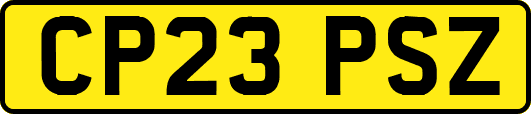 CP23PSZ